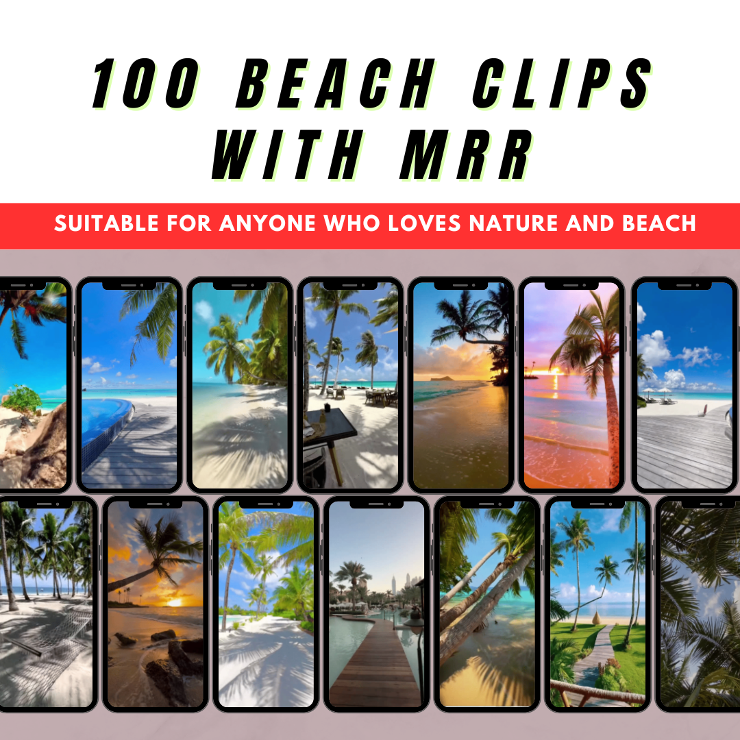 100 Stunning Beach Video Clips with Master Resell Rights (MRR)