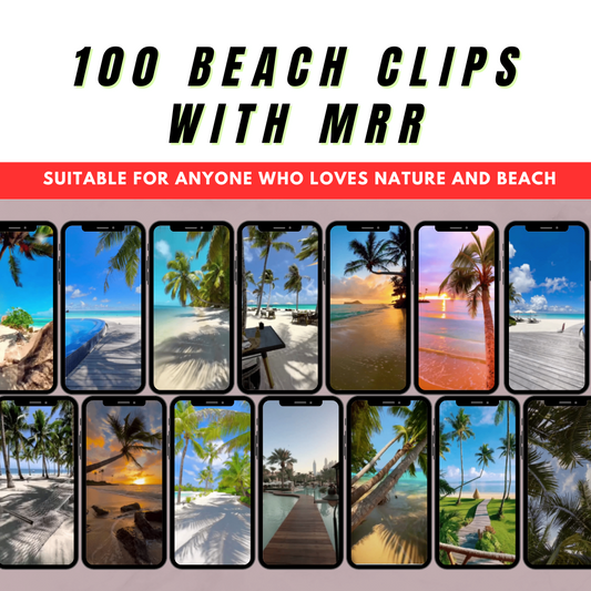 100 Stunning Beach Video Clips with Master Resell Rights (MRR)